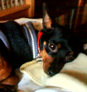 mi princesa¡¡¡ mi princesa¡¡¡