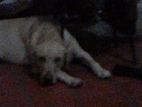 mia te quiero mucchoo te amo con toda mi alma !!!!! mia te quiero mucchoo te amo con toda mi alma !!!!!