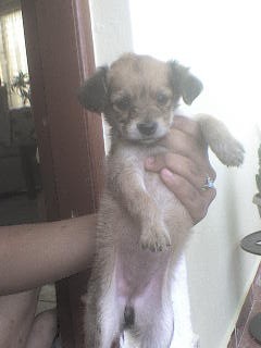 Aka estaba ella pekeñita Aka estaba ella pekeñita