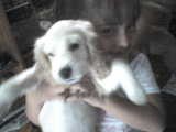 candy con vale cuando tenia 4 meses candy con vale cuando tenia 4 meses
