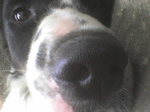 Besa la camara C:< Besa la camara C:<