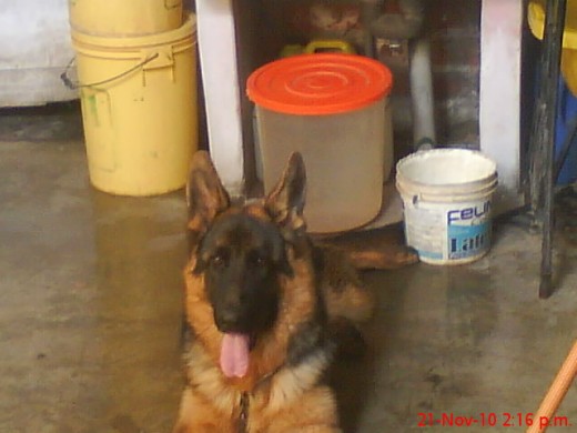 max max