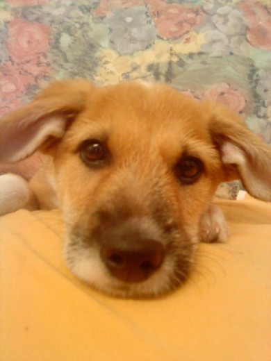 chuky :) chuky :)