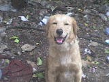 la feliz de keira la estrañamos mucho la feliz de keira la estrañamos mucho