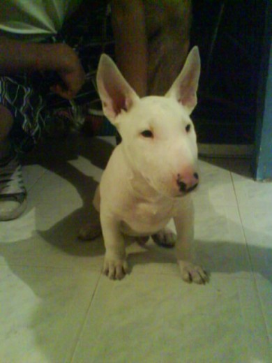 2 Meses