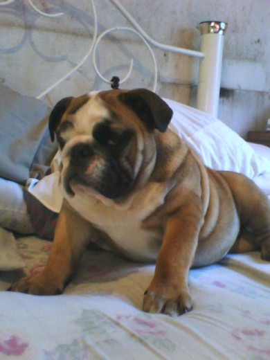 Acá con 8 meses Acá con 8 meses