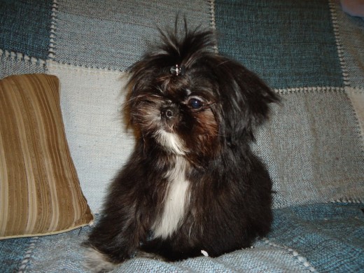 Oliver 5 meses Oliver 5 meses