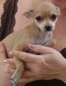 ya tengo 3 meses mi mami me carga para la foto ya tengo 3 meses mi mami me carga para la foto