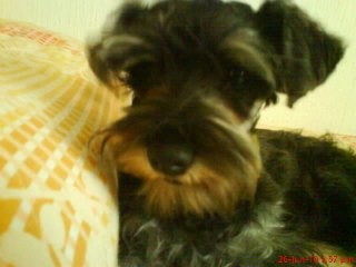 Tierno (: Tierno (: