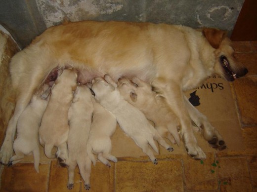 Lola, mami..y hermanitos....