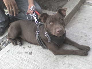 hermooza!!