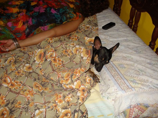 Mi reynita durmiendo en la cama con mi mamá.