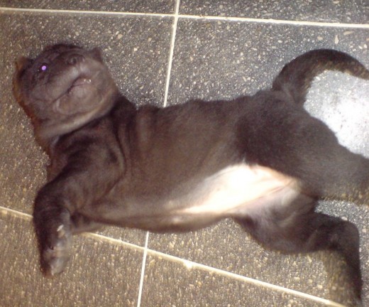 Aquí esta lista para recibir cosquillas en la panza le encantan :) Aquí esta lista para recibir cosquillas en la panza le encantan :)