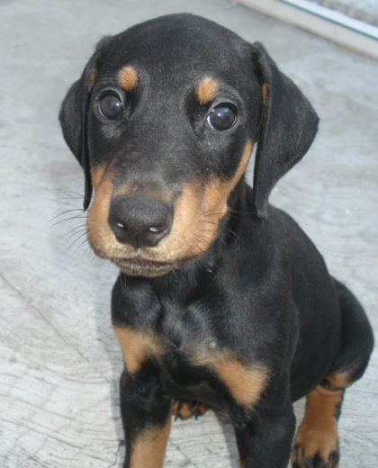 El pequeño Lucca por cumplir casi 2 meses