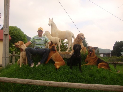 ENTRE MAS CONOZCO AL HOMBRE MAS QUIERO A MI PERRO ENTRE MAS CONOZCO AL HOMBRE MAS QUIERO A MI PERRO