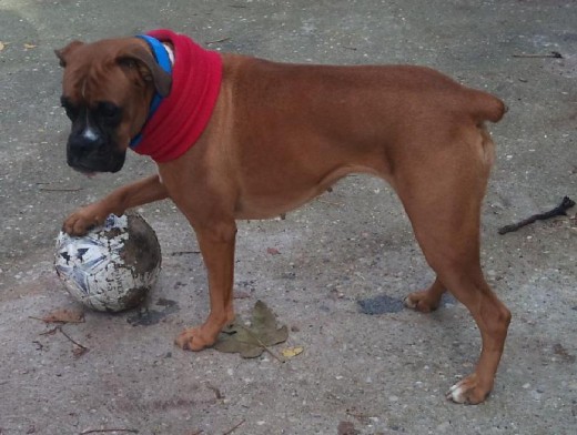 Mi pasión...el futbol soy del atletico de madrid como dueña!