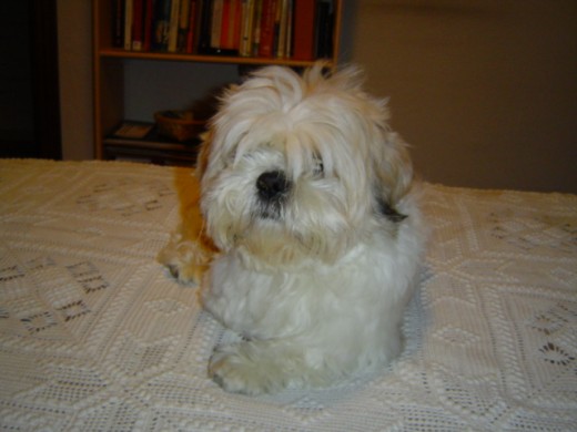Ahora tiene 4 años Ahora tiene 4 años