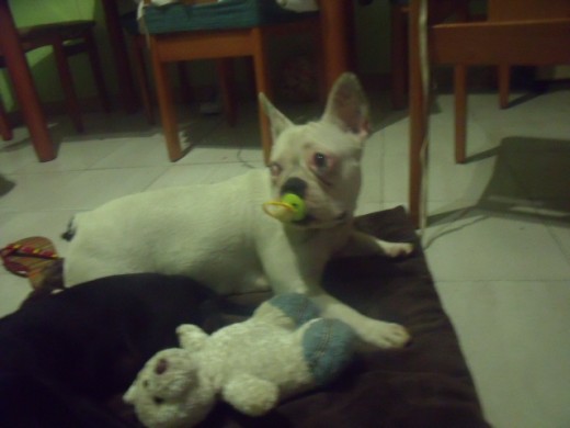 mi niña con su chupetito se iba a dormir luego cuelgo fotos de cuando se estaba durmiendo con su chupete!! mi niña con su chupetito se iba a dormir luego cuelgo fotos de cuando se estaba durmiendo con su chupete!!