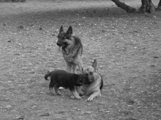 kira esta tumbada y ronny de pie