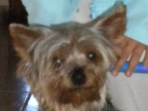 Juanito Juanito
