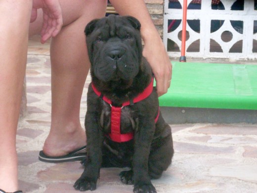 con 6 mesecitos! con 6 mesecitos!