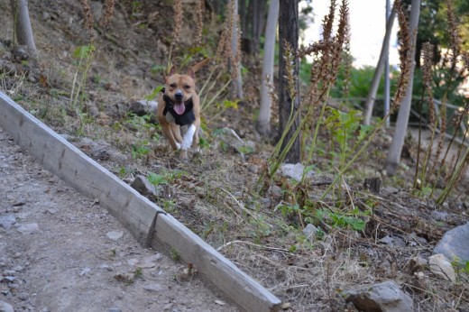 corriendo corriendo