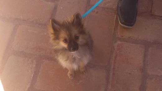 Aquí a los 4 meses Aquí a los 4 meses