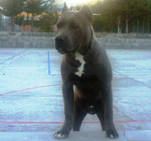 CON 7 MESES