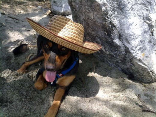 Estamos en la playa del Aeropuerto y mi mami le puso un sombrero para que su cabecita esté fresca.
Él tan coqueto se deja hacer ;-)