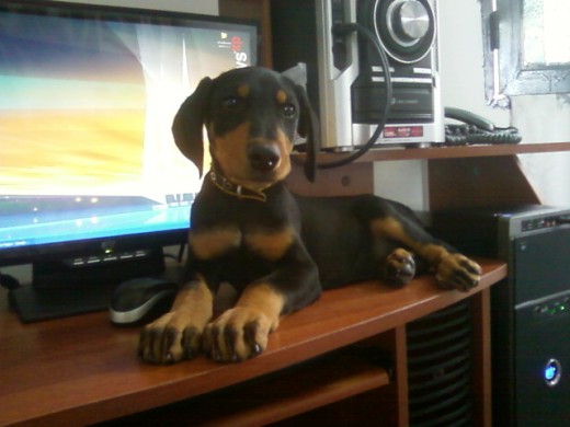 salomon tiene tres meses