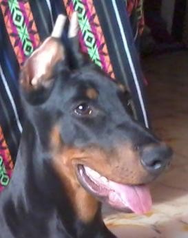 KIMBO 5 meses. KIMBO 5 meses.