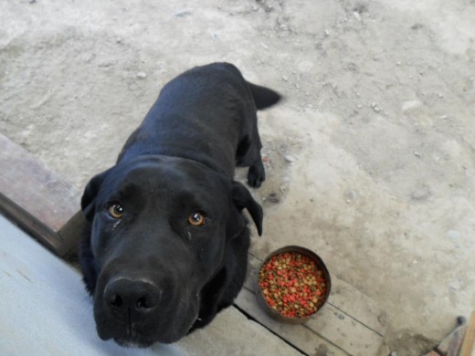 Con la comida.. SIEMPRE..