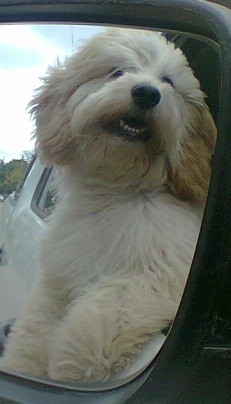 Paseando.. Paseando..