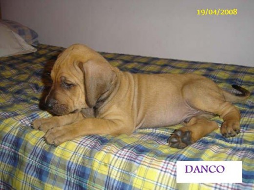 Con 2 meses Con 2 meses