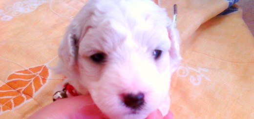 honey con 23 dias <3