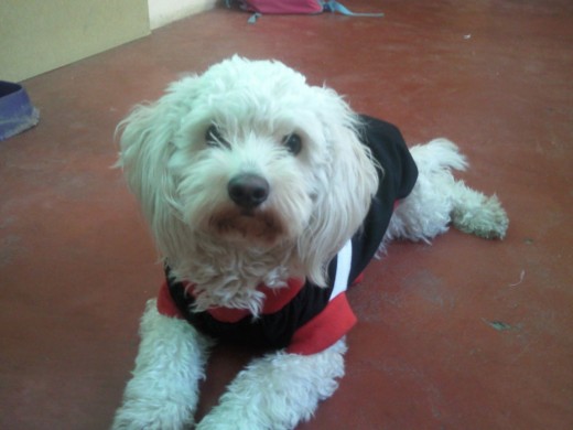 esta foto es de mi bebe apoyando a la seleccion con su playera de mexico