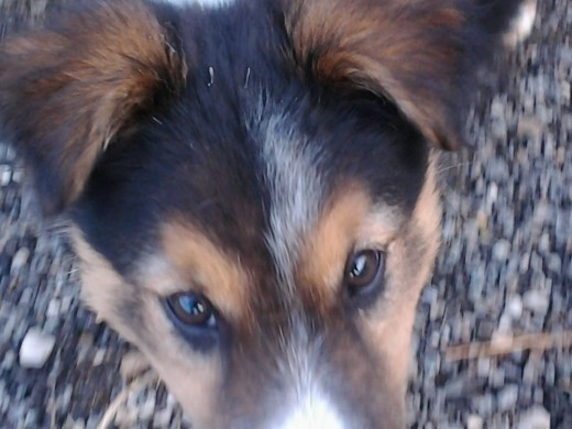 Booooob :) Booooob :)