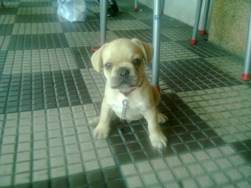 pancho posando como un famoso pancho posando como un famoso