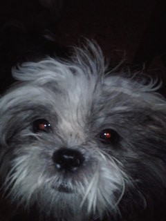 mi carita bonita mi carita bonita
