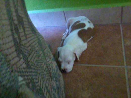 JACKY CUANDO ME LA REGALARON JACKY CUANDO ME LA REGALARON