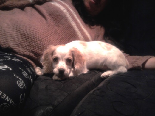 LUPE CON DOS MESE LUPE CON DOS MESE
