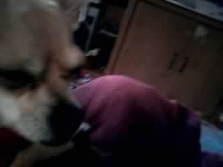 hola soy nuve soy muy bonita
hola soy nuve soy muy bonita