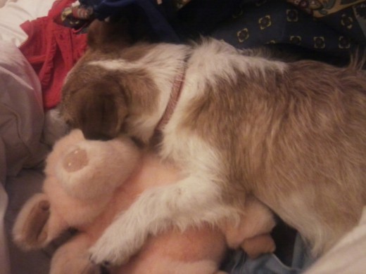 Durmiendo con mi peluche favorito <3