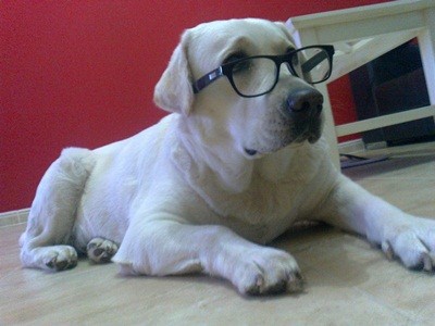 Anuska intelectuaL :)