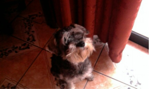 Carly en casa mirandote ;)