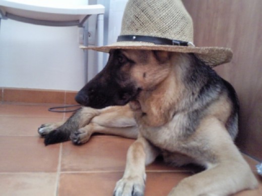 que wapa estoy!