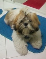 Chamis con 5 meses! 