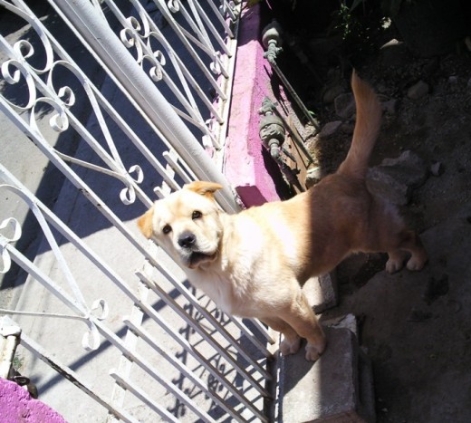 a sus 5 meses a sus 5 meses