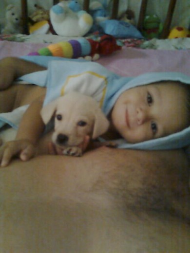MI PERRITO OSO Y MI BEBE LOS AMO... MI PERRITO OSO Y MI BEBE LOS AMO...