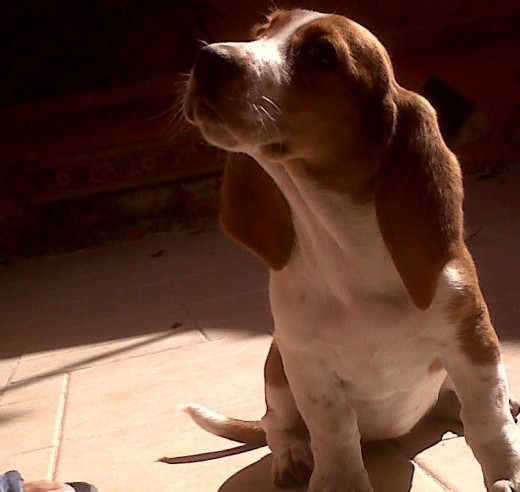 Mi pequeña Frida!! Mi pequeña Frida!!